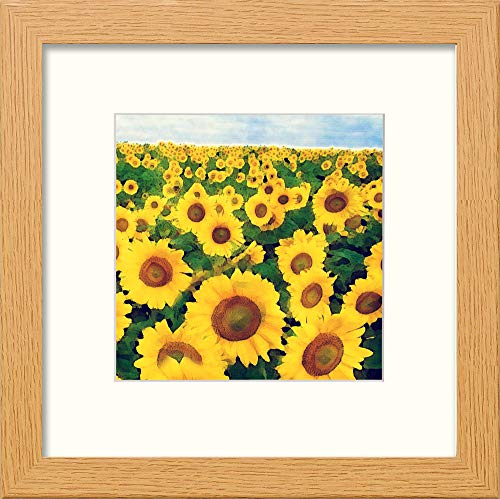 L Lumartos Dordoigne Sunflowers