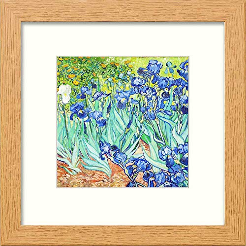L Lumartos Vintage Van Gogh Irises