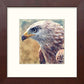 L Lumartos Eagle