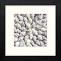 Shells in Black Wood frame, premium wall art print