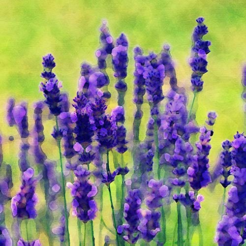 L Lumartos Prairie Flowers Lilac
