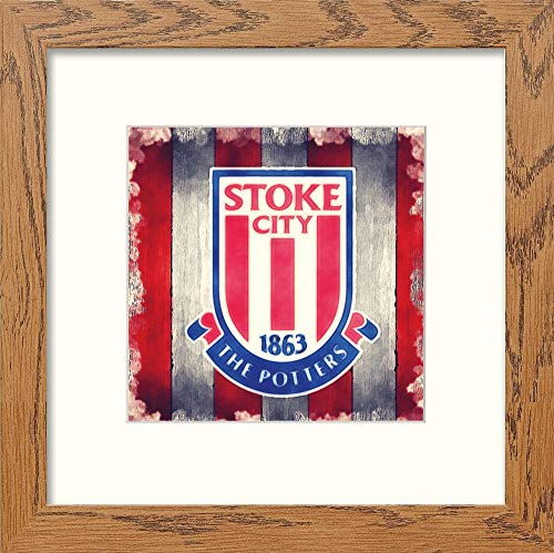 L Lumartos Stoke FC Badge