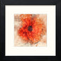 Single Red Poppy in Black Wood frame, premium wall art print