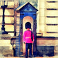 L Lumartos London Queen's Guard