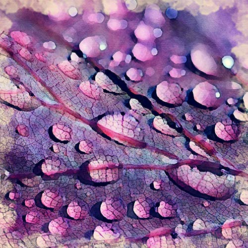 L Lumartos Leaf Droplets