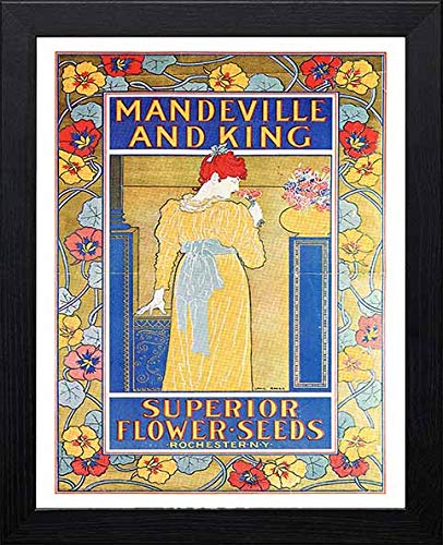 L Lumartos Vintage Poster Mandeville And King Superior Flower Seeds