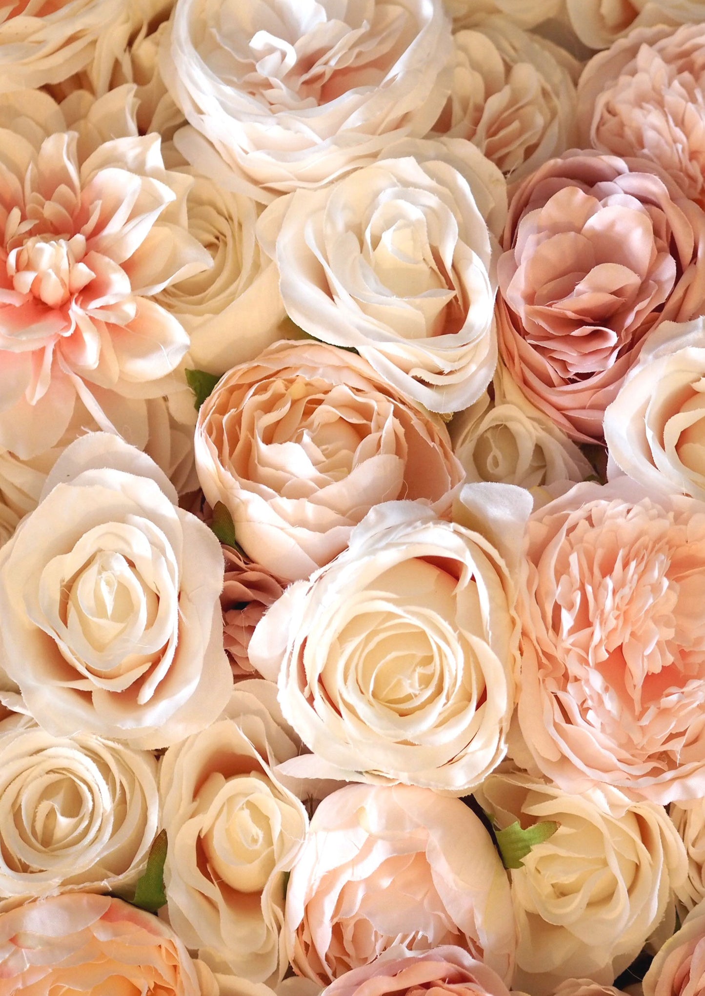 Lumartos Pink Roses Shades Large Quote Print